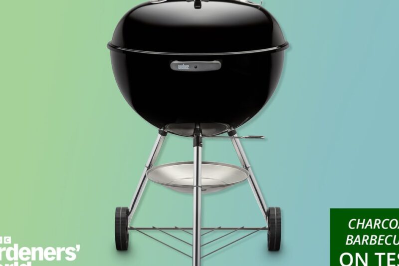 The Best Charcoal BBQs in 2026: A Comprehensive Guide
