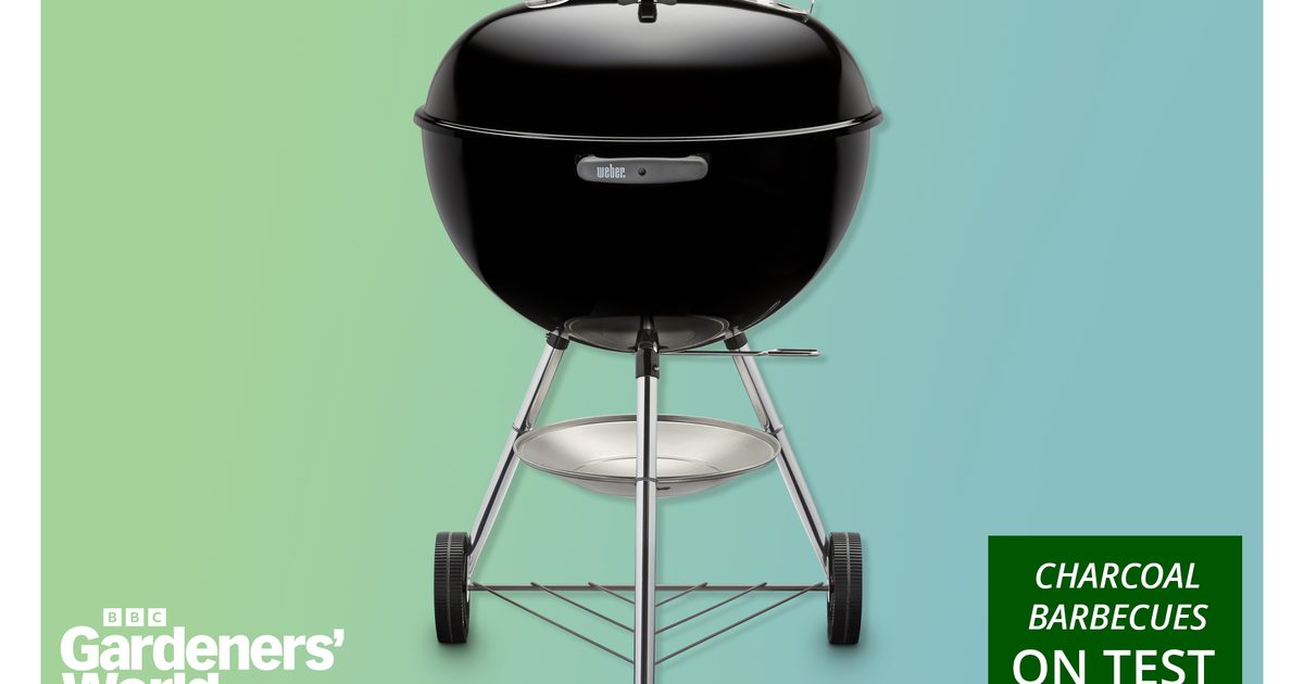 The best charcoal BBQs in 2026 – Best Charcoal BBQs in