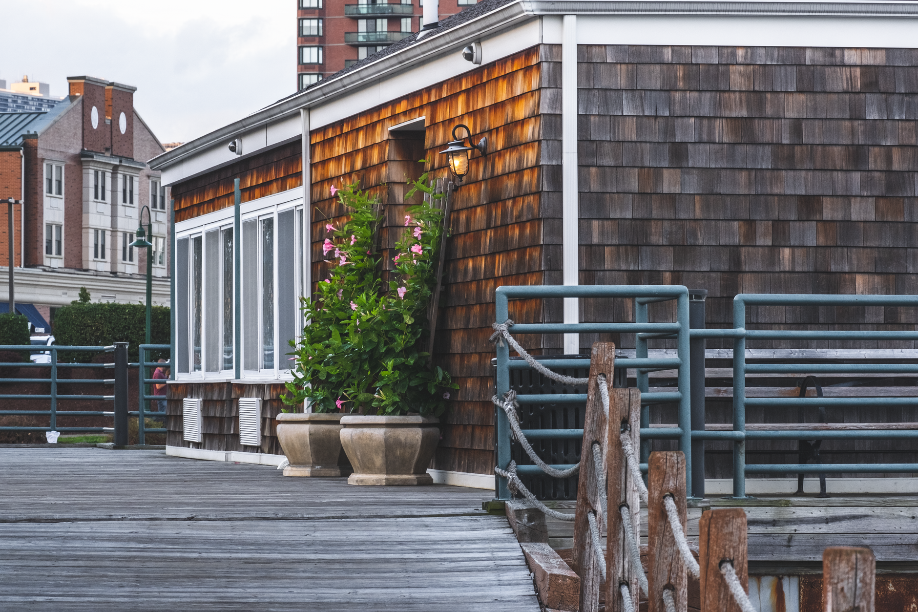 Modern waterfront house with wooden exterior and plants on a spacious deck with city backdrop.