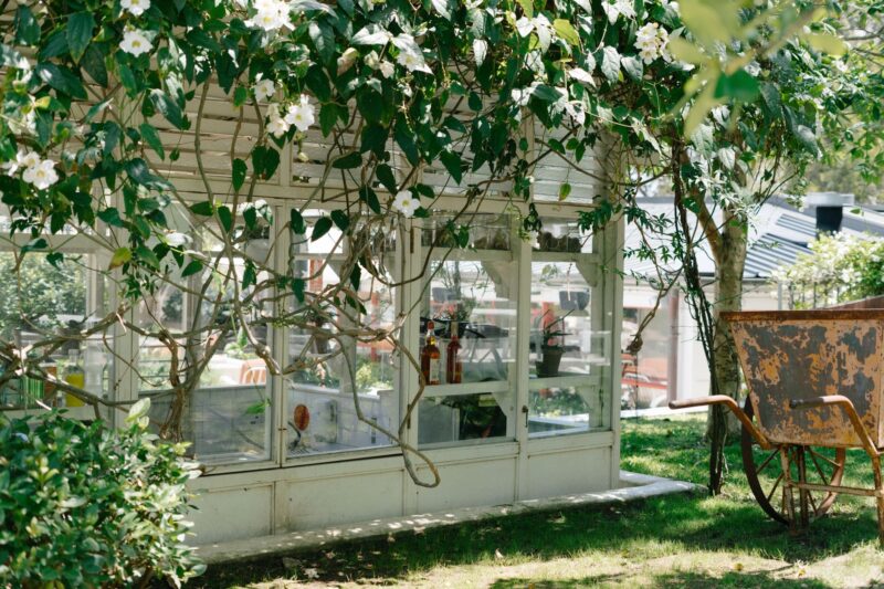 Greenhouse Prices: Separating Fact from Fiction – Honest Breakdown