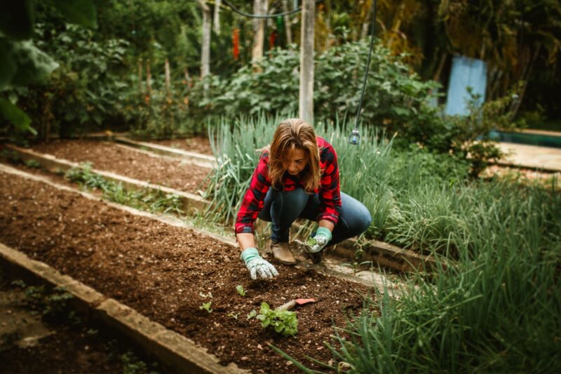 Raised Garden Beds Deal Review: Is It Worth Your Money?
