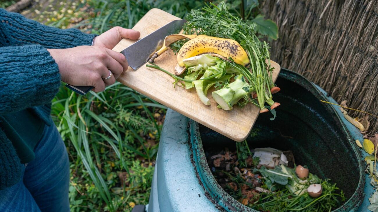 July Is When Compost Piles Tend to Stop Working – Here's How to Get Yours Going Again – compost pile stalled in