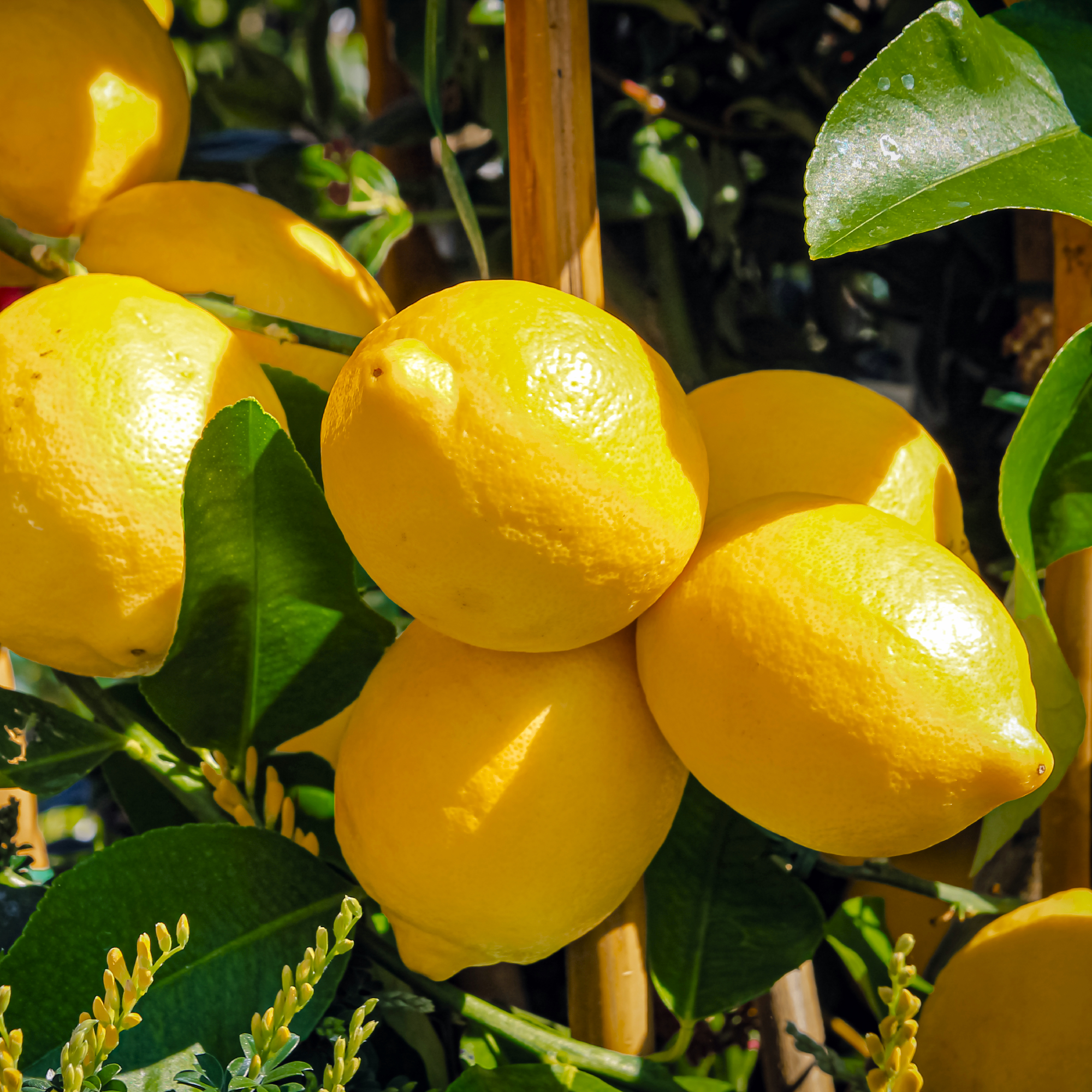 July Is When Compost Piles Tend to Stop Working – Here's How to Get Yours Going Again