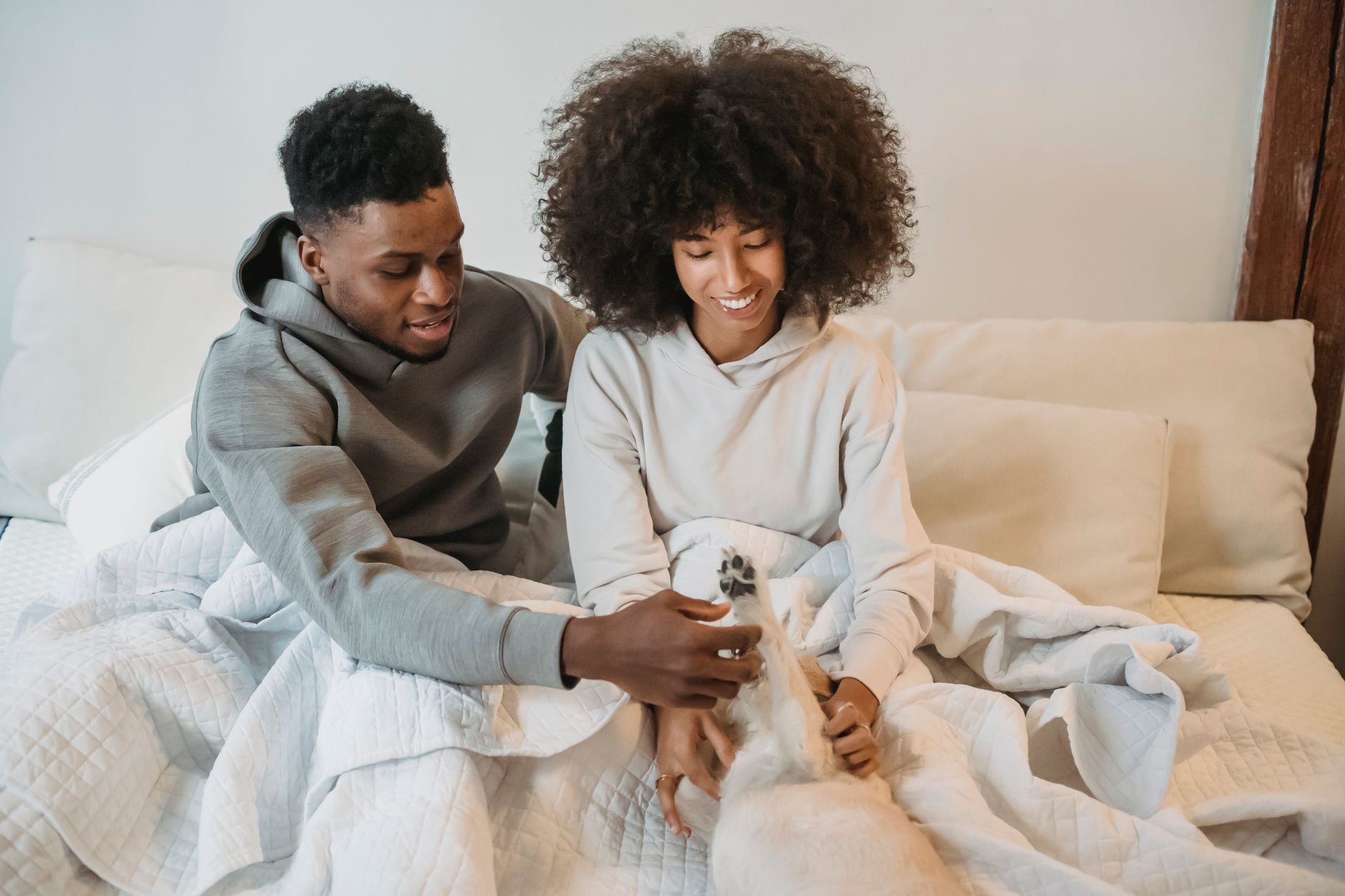 From above of happy young black couple sitting on comfortable bed and caressing adorable dog