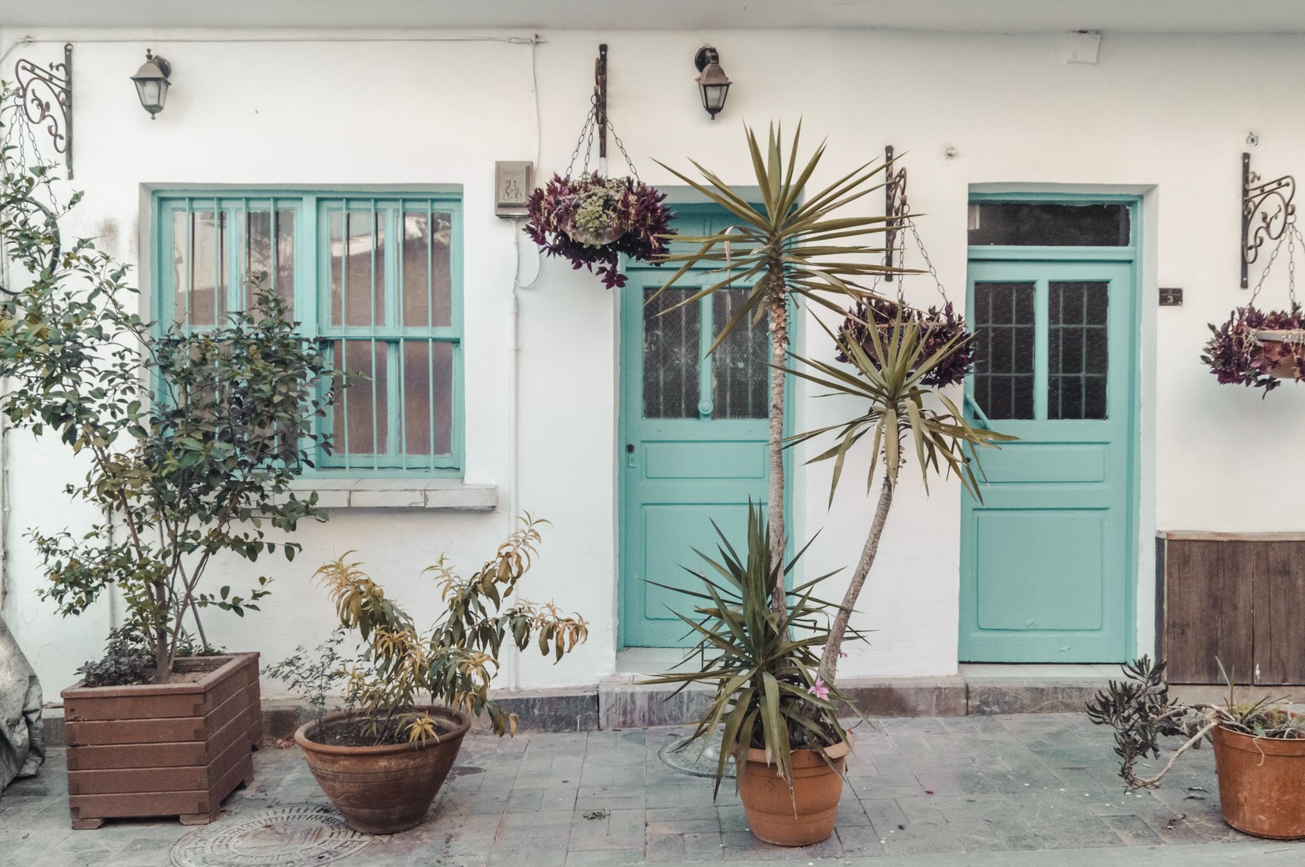 Urban facade with teal doors and potted plants creating a welcoming entrance.
