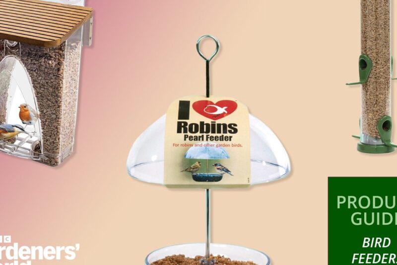 The best bird feeders for your garden in 2026 – bird feeders for garden