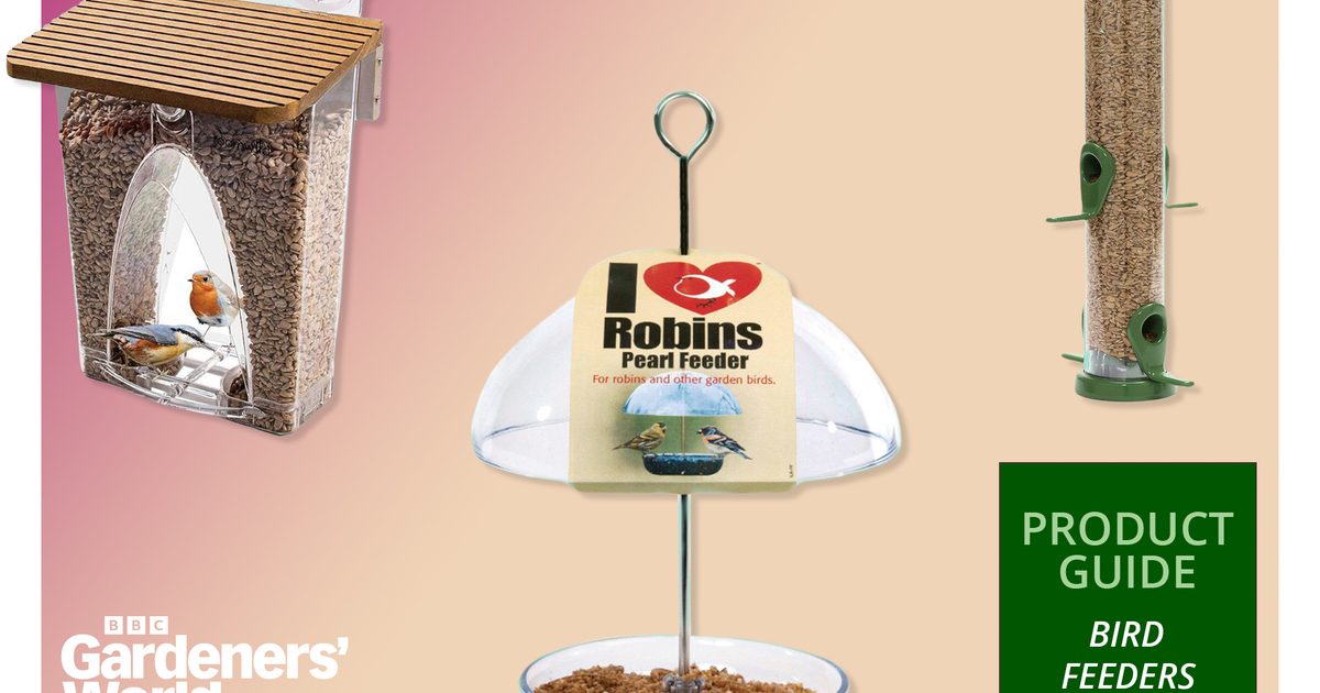 The best bird feeders for your garden in 2026 – bird feeders for garden